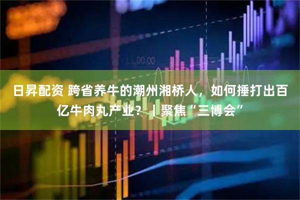 日昇配资 跨省养牛的潮州湘桥人，如何捶打出百亿牛肉丸产业？丨聚焦“三博会”