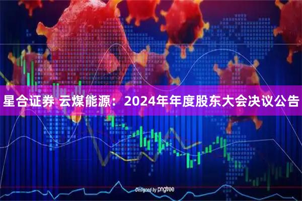 星合证券 云煤能源：2024年年度股东大会决议公告
