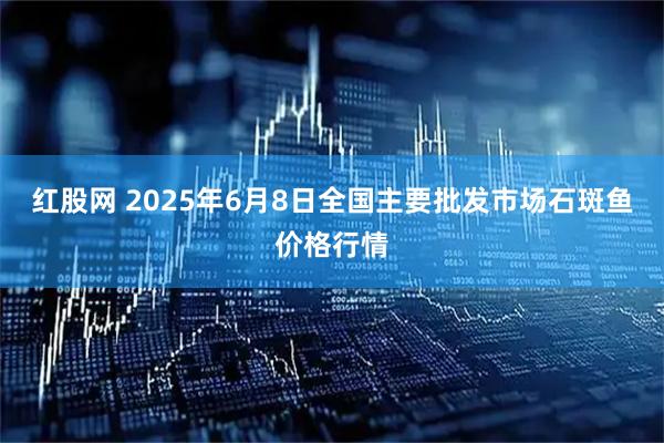 红股网 2025年6月8日全国主要批发市场石斑鱼价格行情