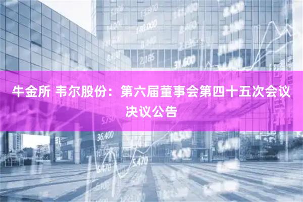 牛金所 韦尔股份：第六届董事会第四十五次会议决议公告