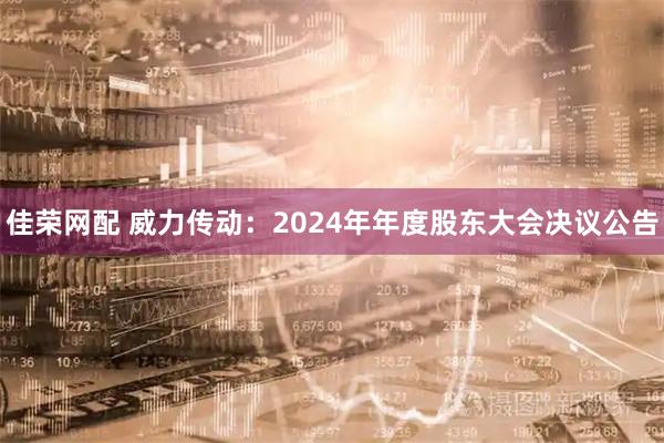 佳荣网配 威力传动：2024年年度股东大会决议公告