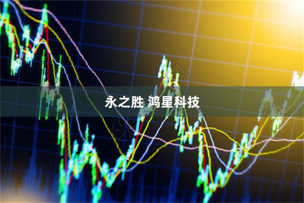 永之胜 鸿星科技