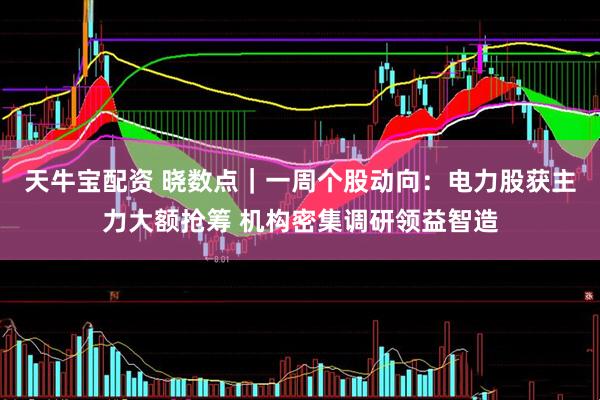 天牛宝配资 晓数点｜一周个股动向：电力股获主力大额抢筹 机构密集调研领益智造