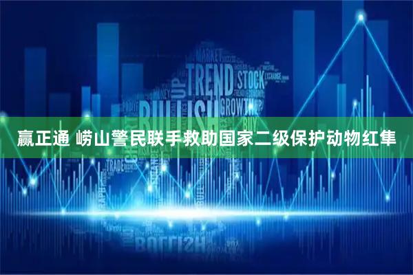 赢正通 崂山警民联手救助国家二级保护动物红隼