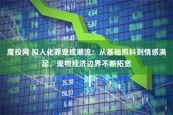 魔投网 拟人化养宠成潮流：从基础照料到情感满足，宠物经济边界不断拓宽