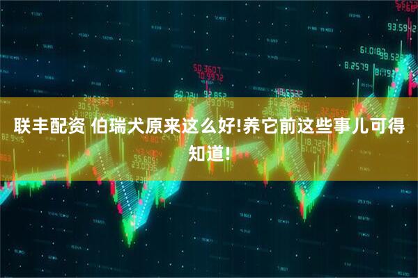 联丰配资 伯瑞犬原来这么好!养它前这些事儿可得知道!