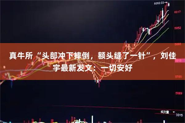 真牛所 “头部冲下摔倒，额头缝了一针”，刘佳宇最新发文：一切安好