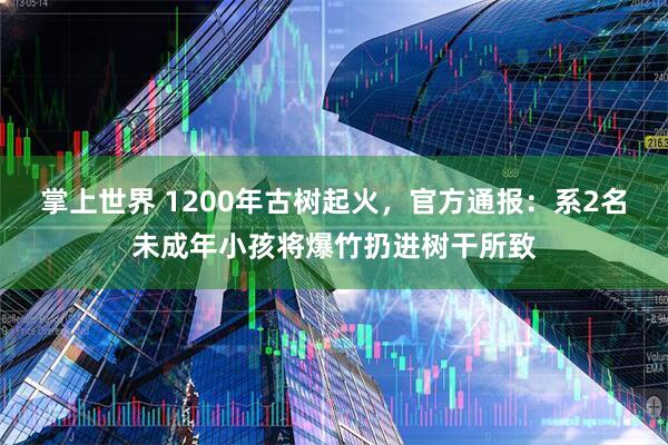 掌上世界 1200年古树起火，官方通报：系2名未成年小孩将爆竹扔进树干所致