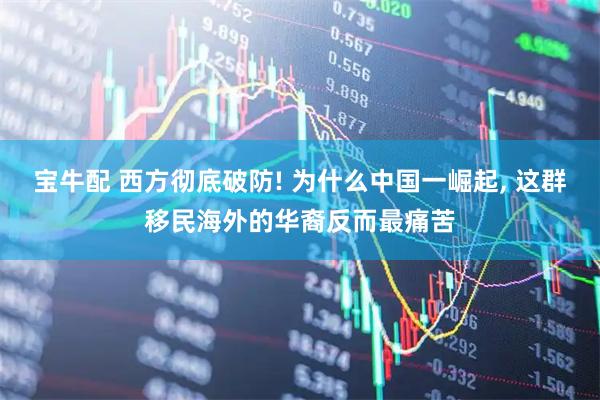 宝牛配 西方彻底破防! 为什么中国一崛起, 这群移民海外的华裔反而最痛苦